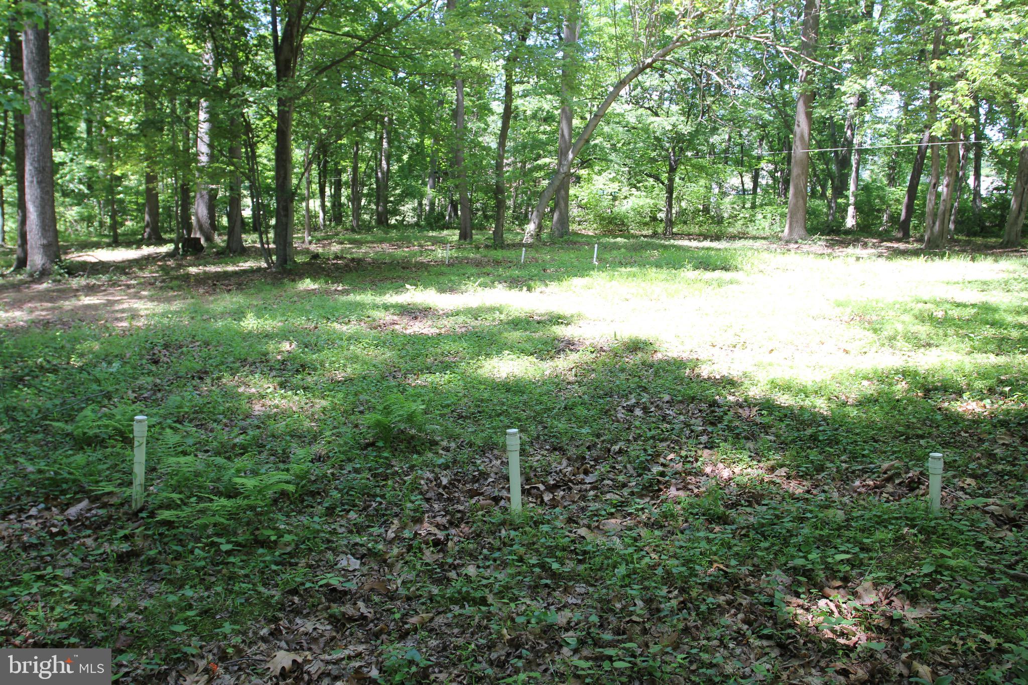 STOTTSVILLE ESTATE - Land