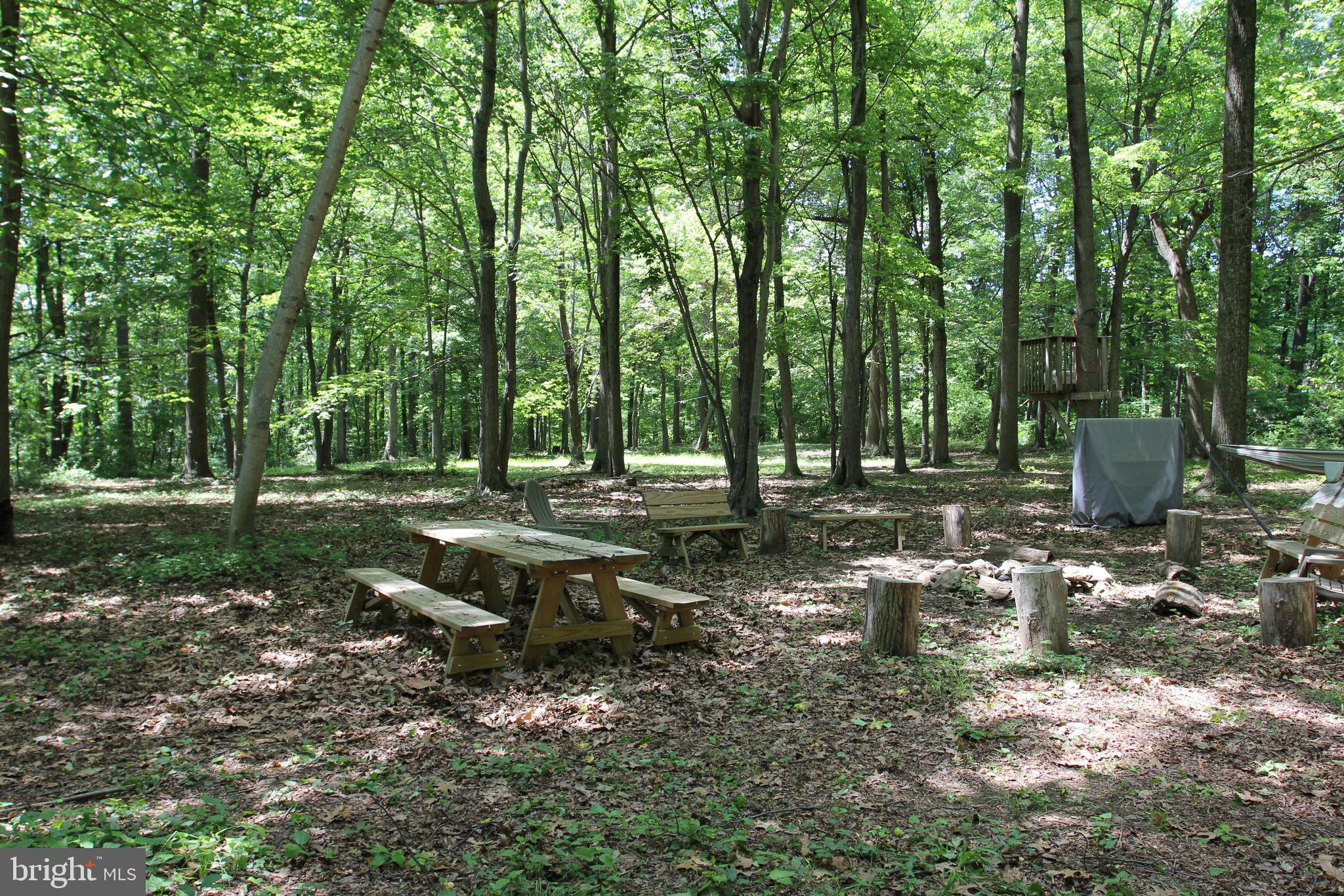 STOTTSVILLE ESTATE - Land
