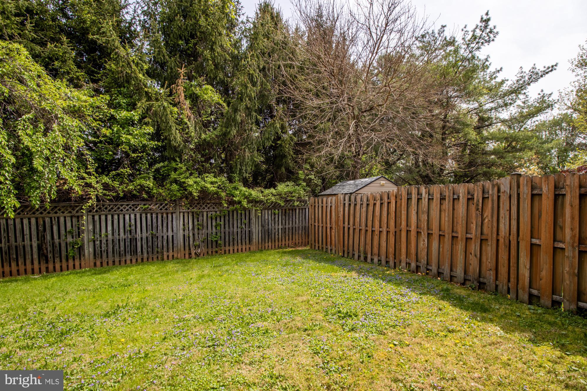 VILLAGE OF PAINTERS MILL - Residential