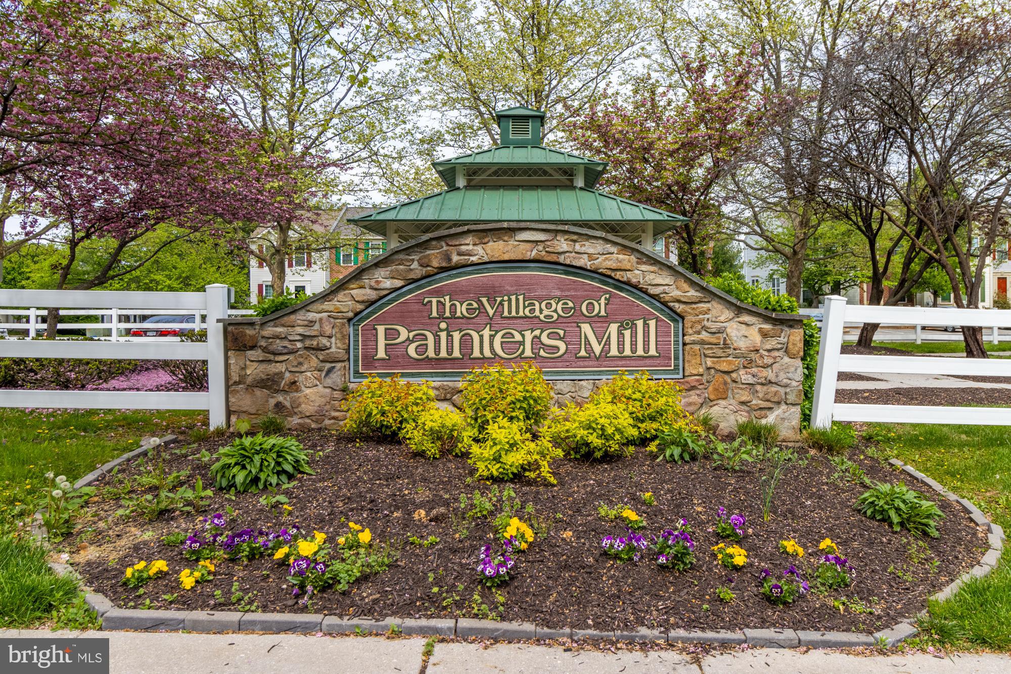 VILLAGE OF PAINTERS MILL - Residential