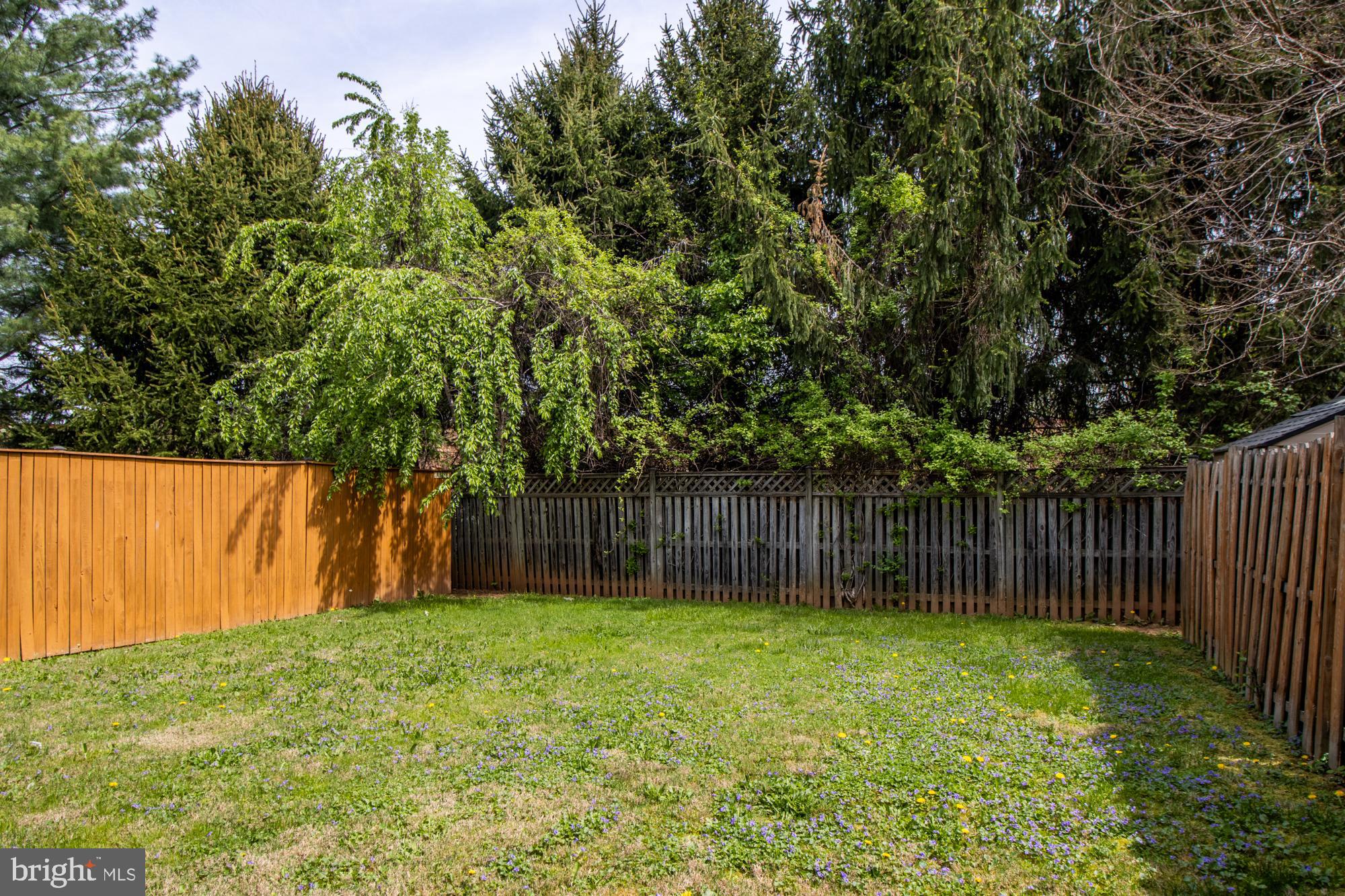 VILLAGE OF PAINTERS MILL - Residential