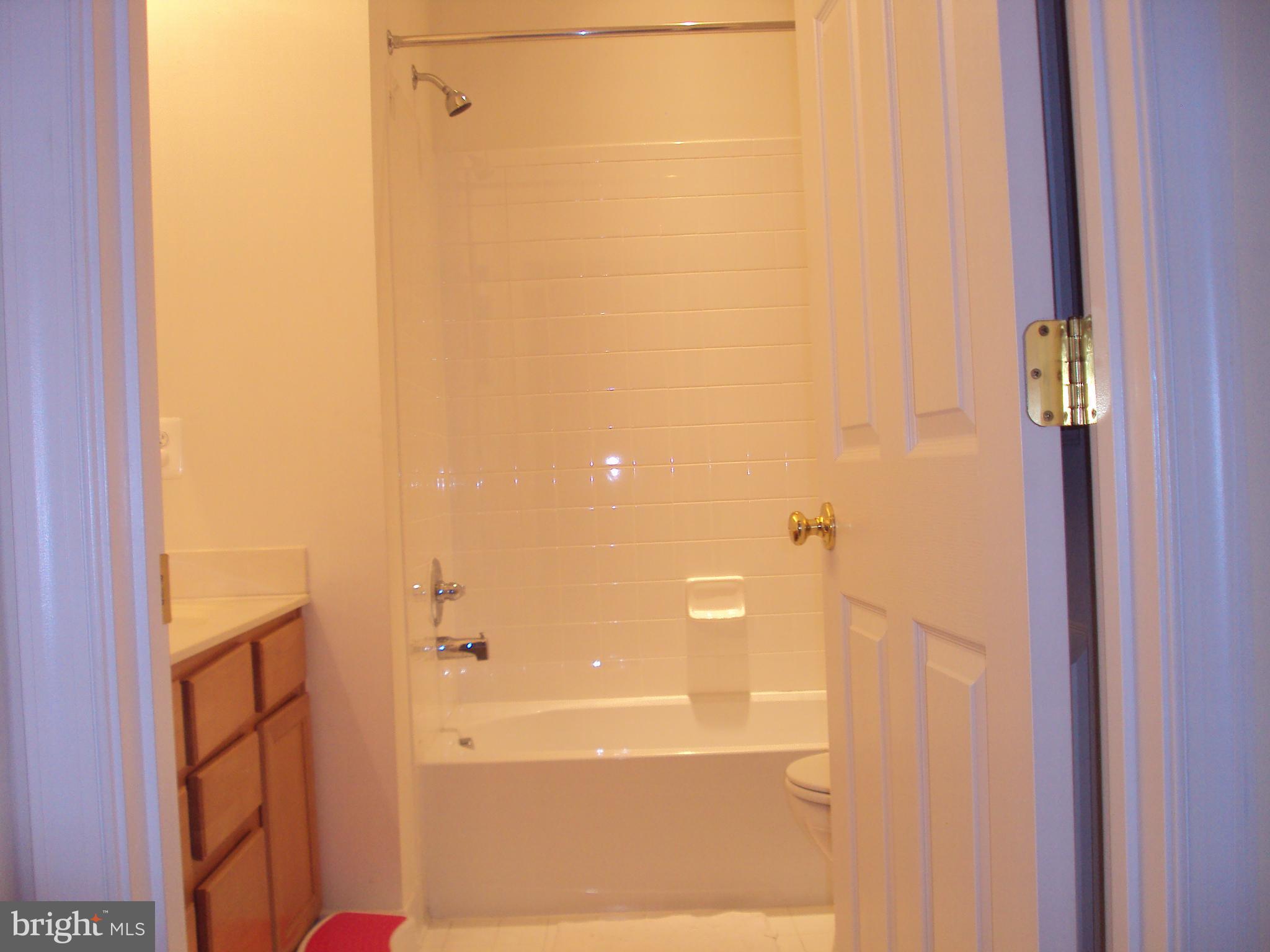 AMBERLEIGH - Residential Lease