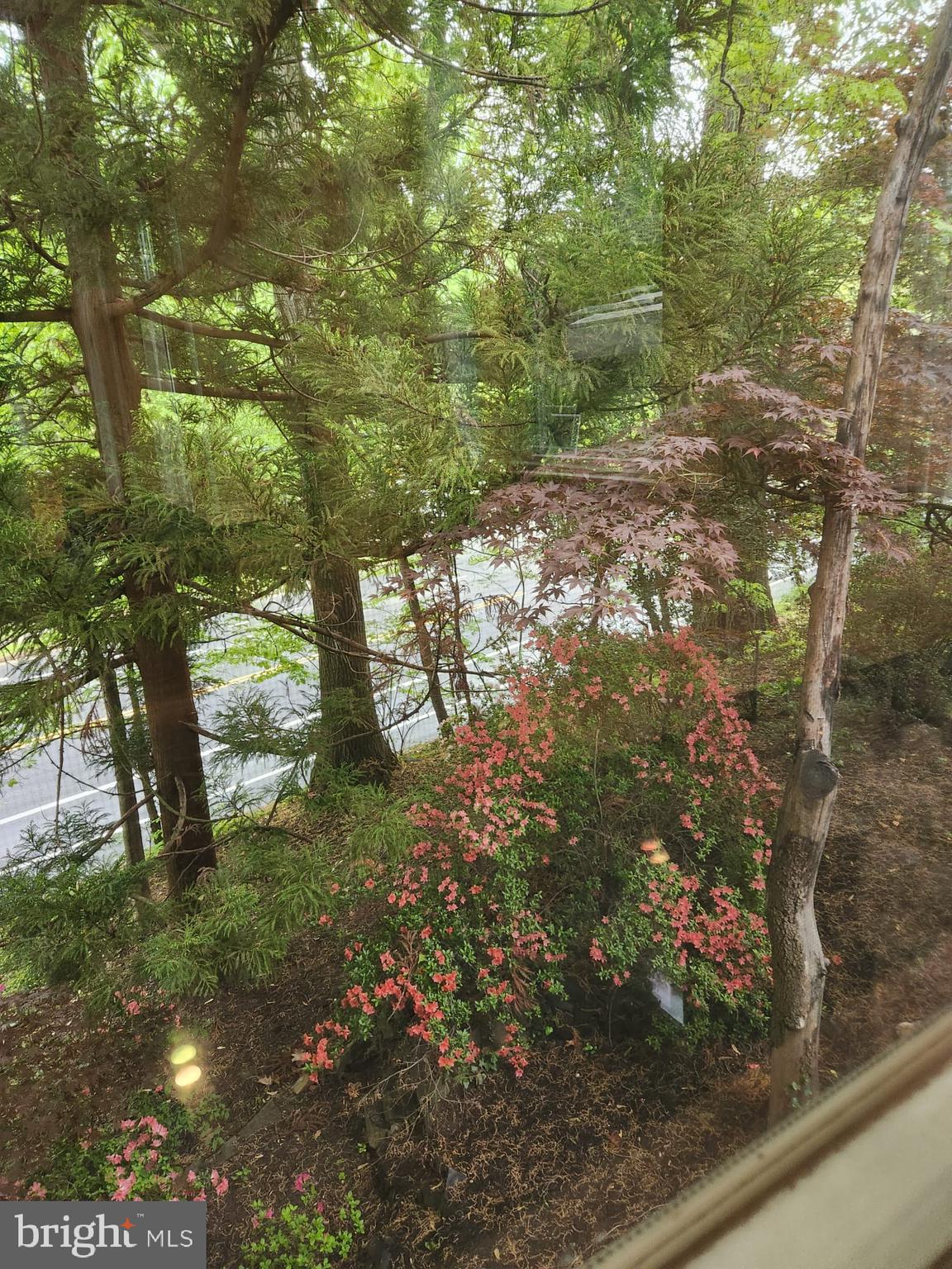 MAYWOOD - Residential