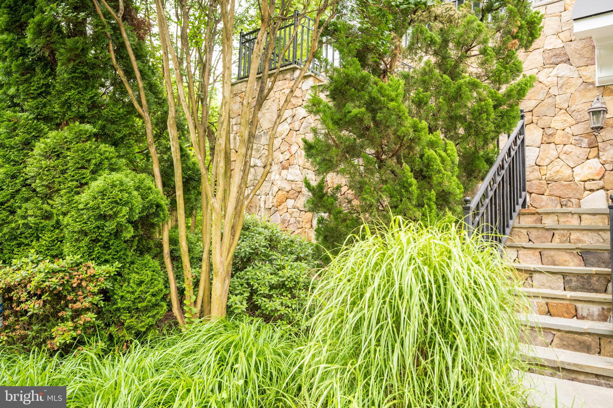 MAYWOOD - Residential