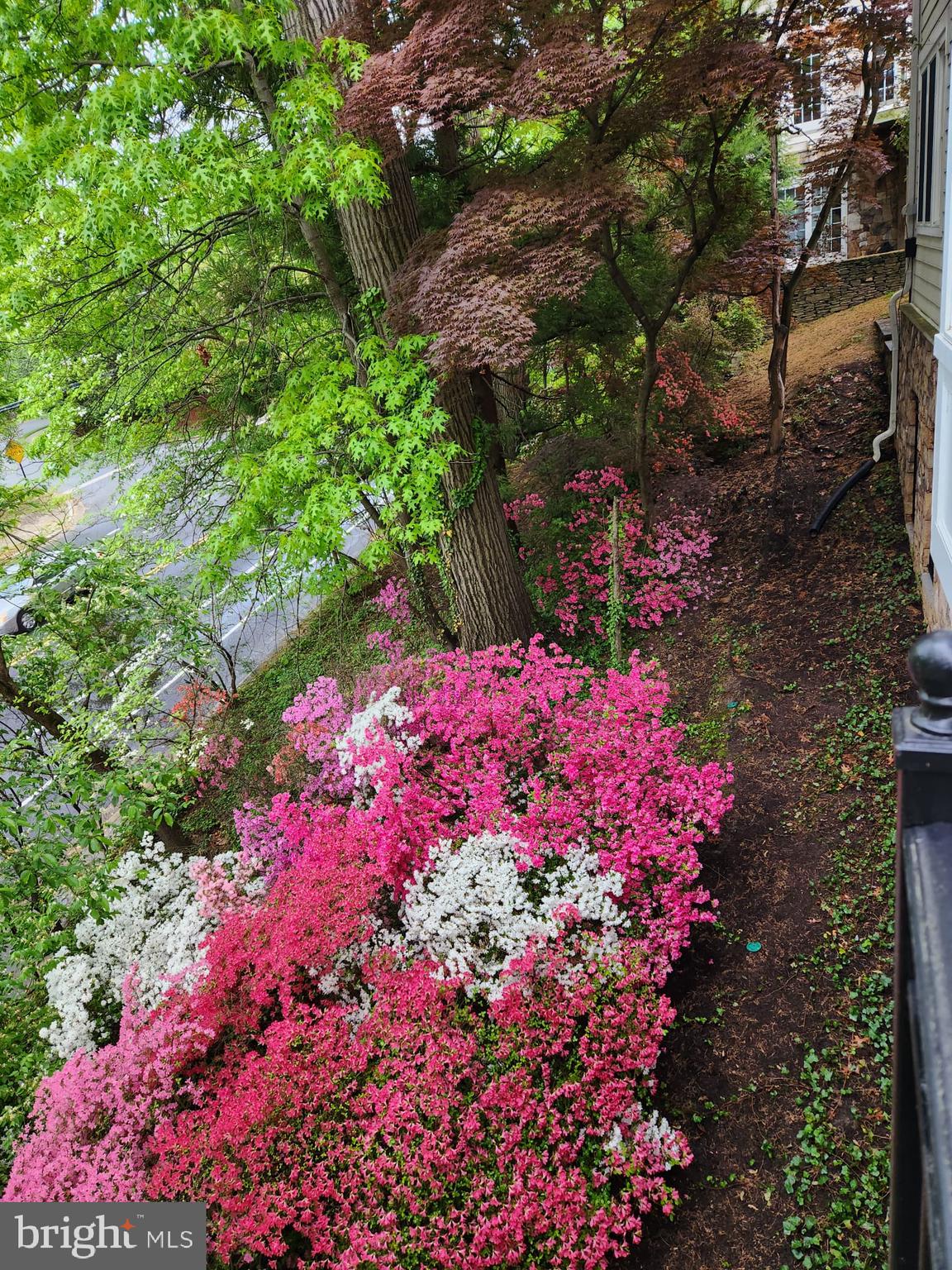 MAYWOOD - Residential