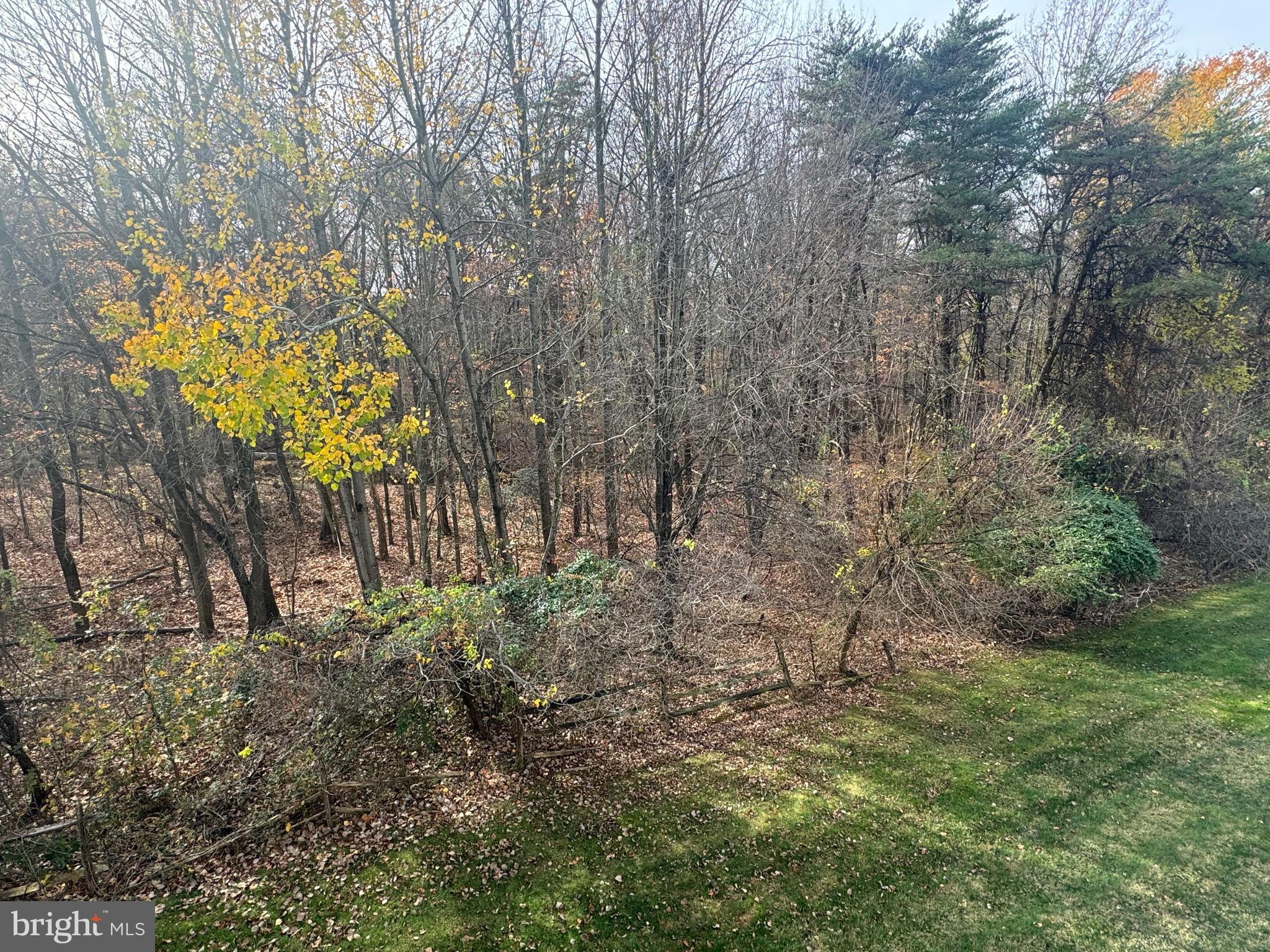 DEVONSHIRE AT WHITEMARSH - Residential