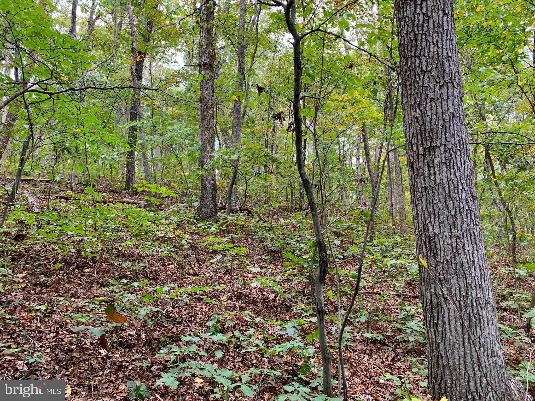 POPLAR SPRINGS - Residential