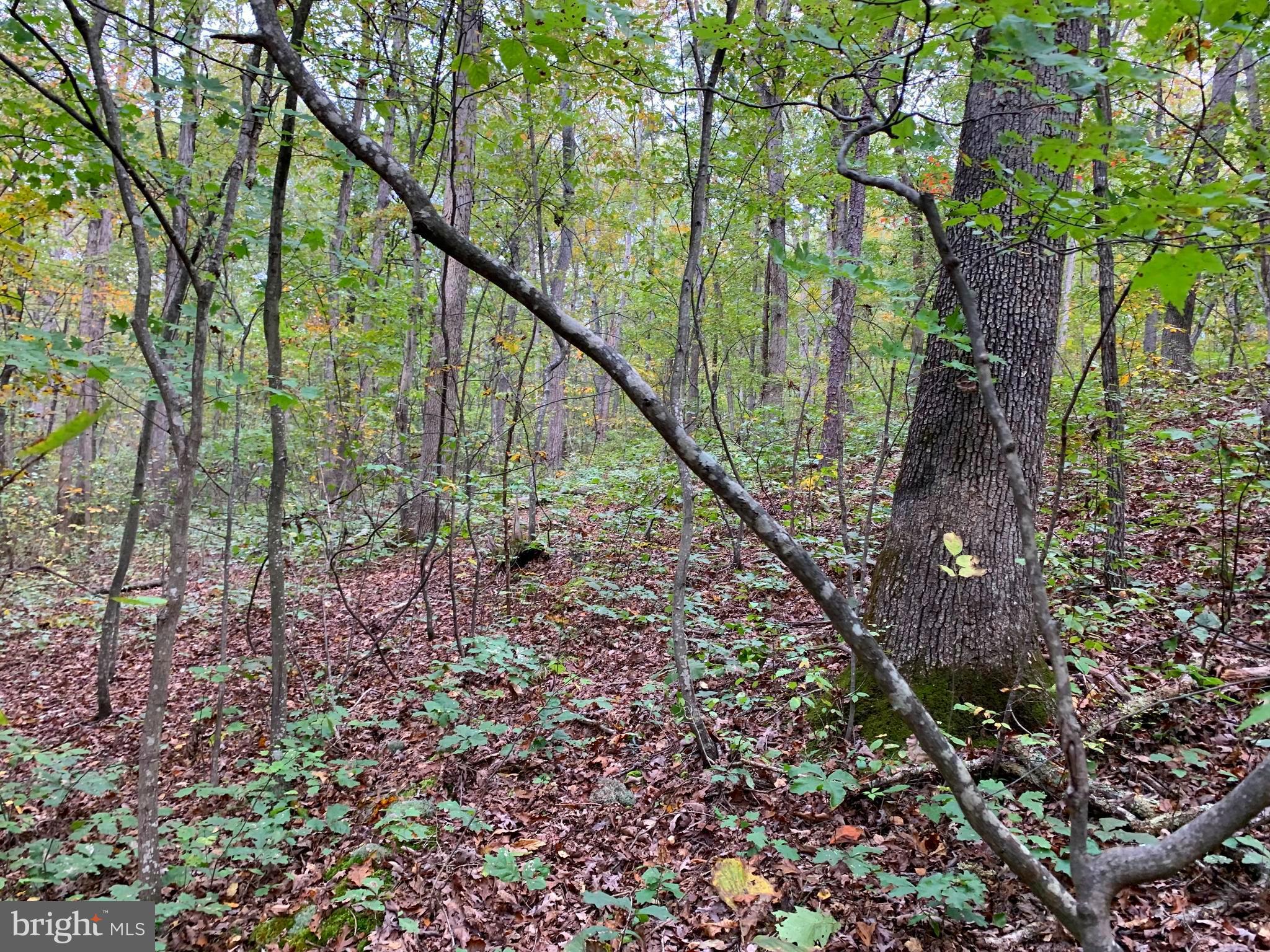 POPLAR SPRINGS - Residential