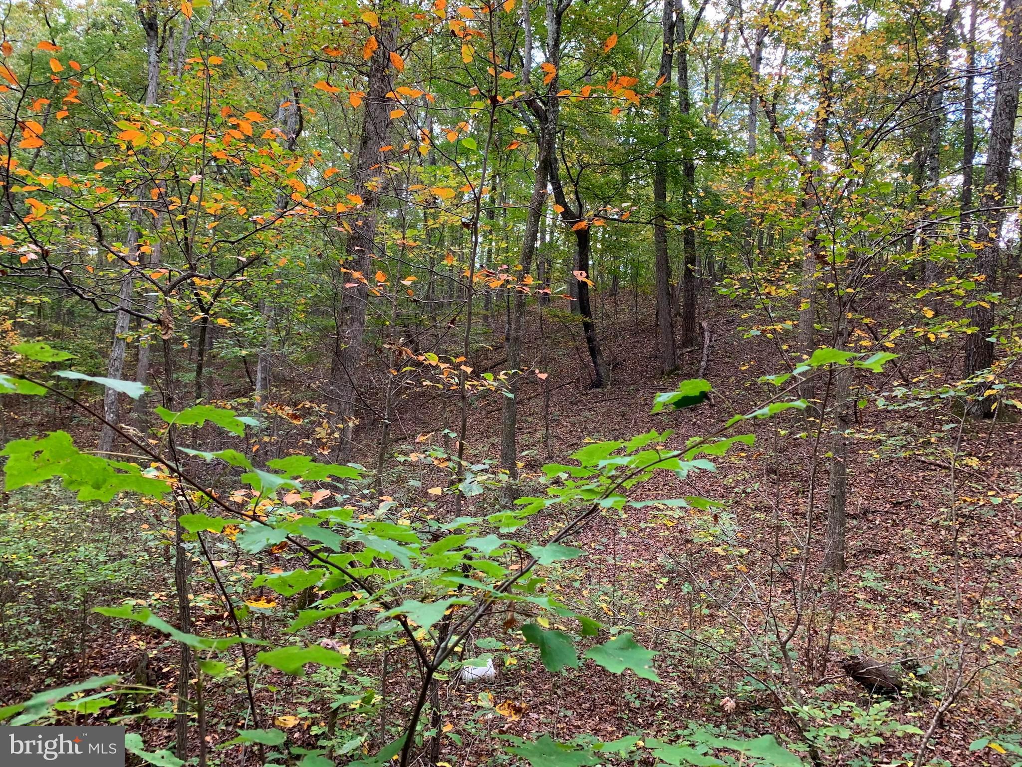 POPLAR SPRINGS - Residential