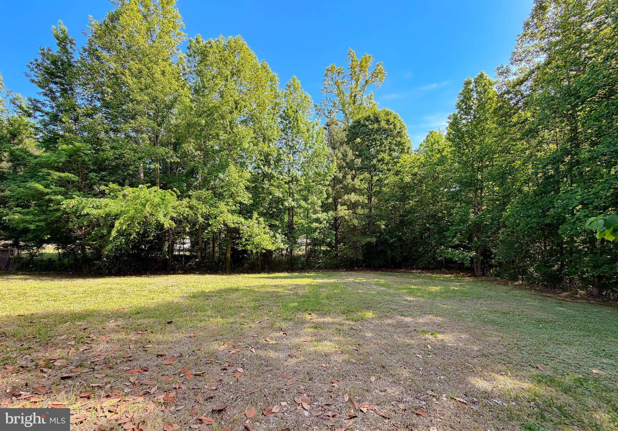 BENEDICT PLANTATION - Residential