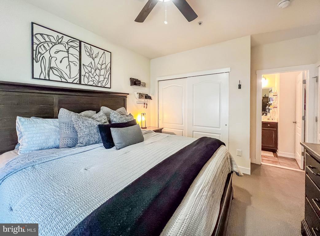 WATERSIDE - Residential