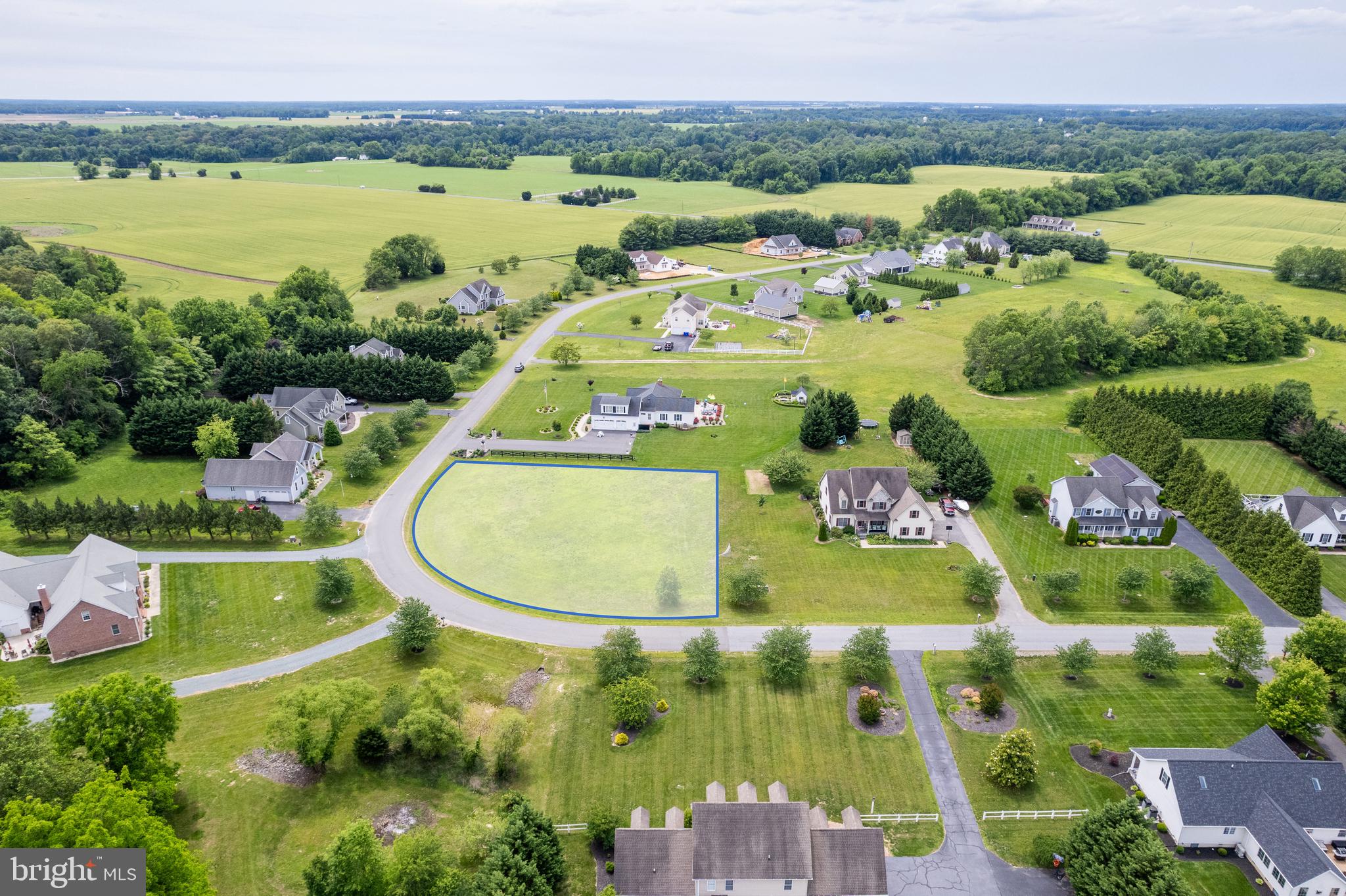 GRIFFITH DRIVE