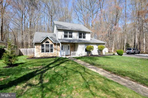 45 SHERI WAY PINE HILL NJ 08021