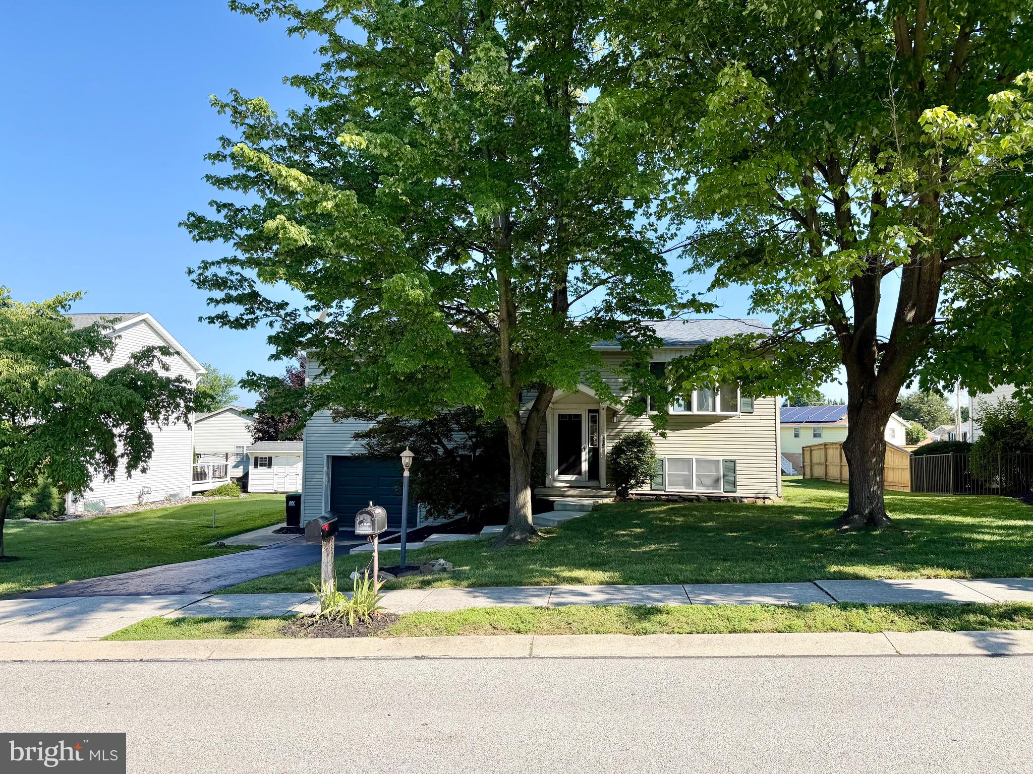 115 LION DRIVE