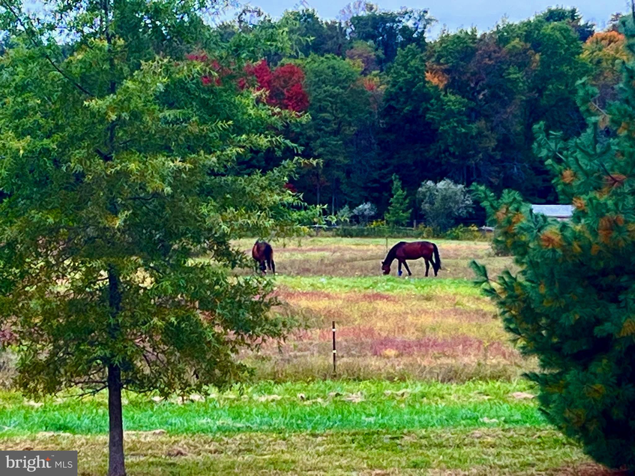 REGENCY AT HILLTOWN - Residential