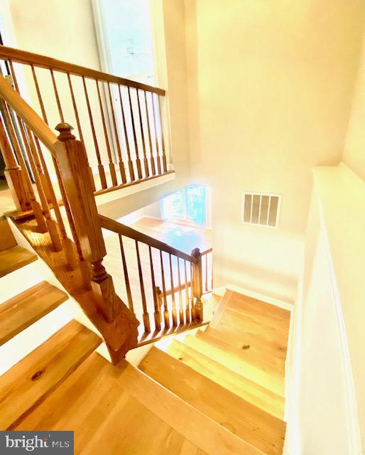 SADDLE CREEK - Residential Lease