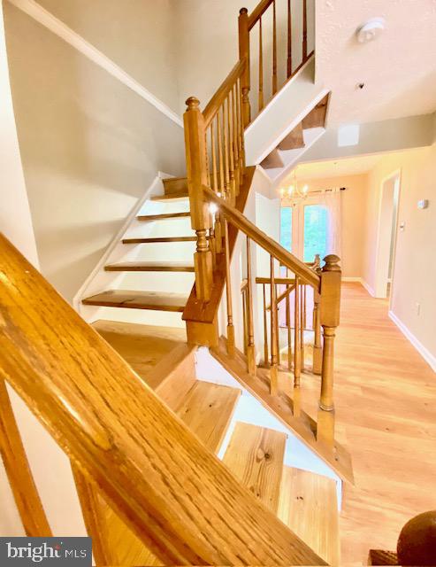 SADDLE CREEK - Residential Lease