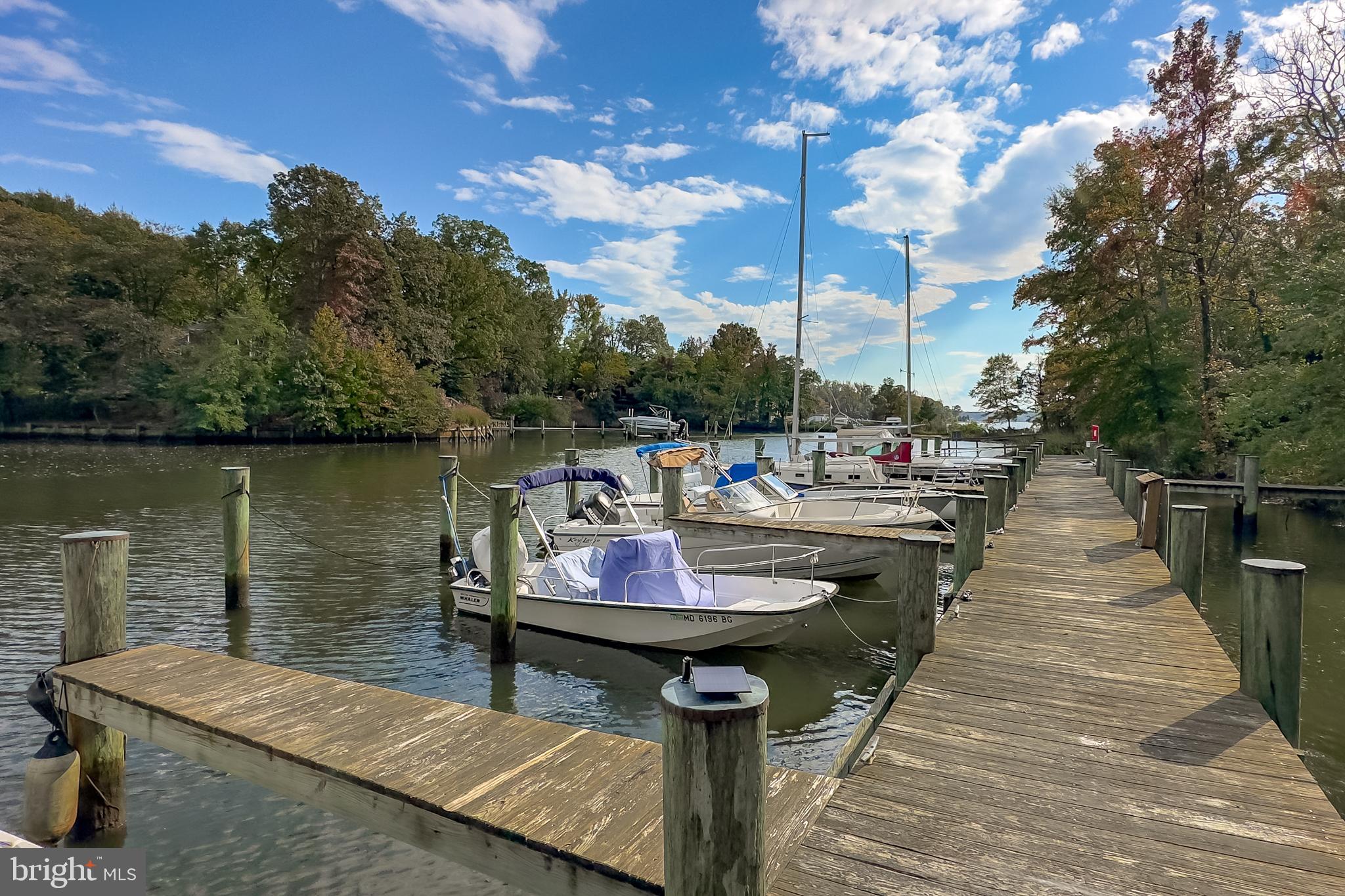 BITTERSWEET - Residential