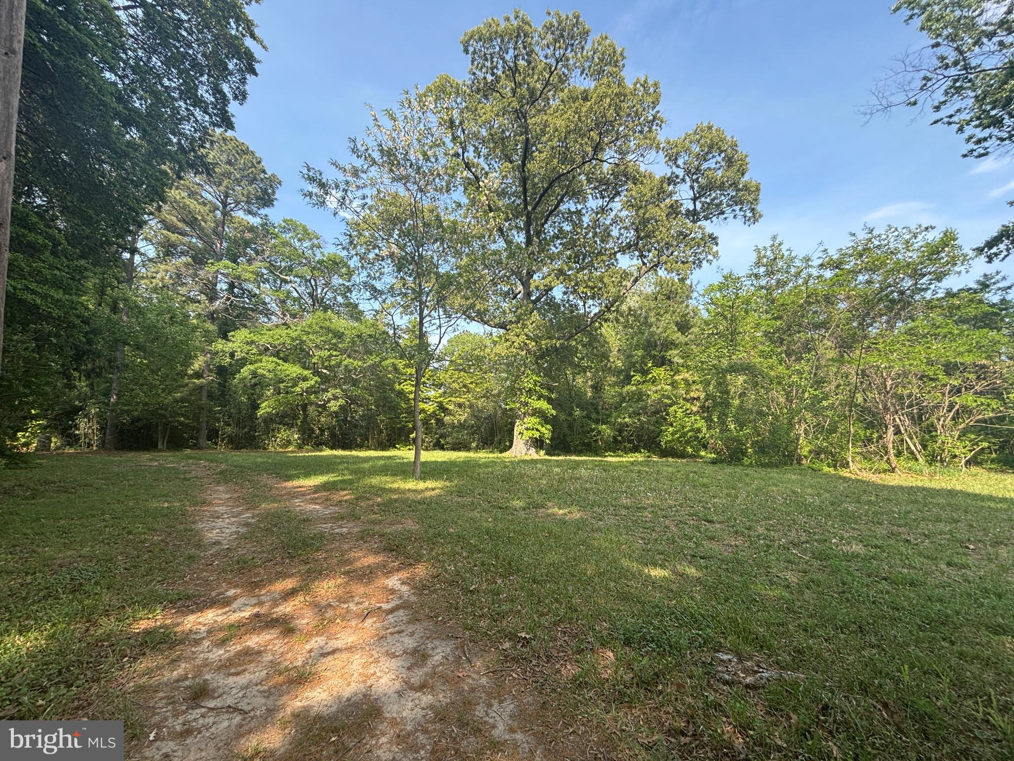 15567 POTOMAC RIVER DRIVE