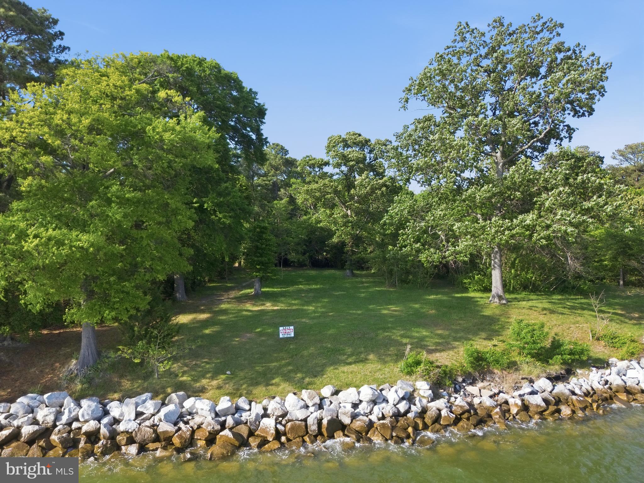 15567 POTOMAC RIVER DRIVE