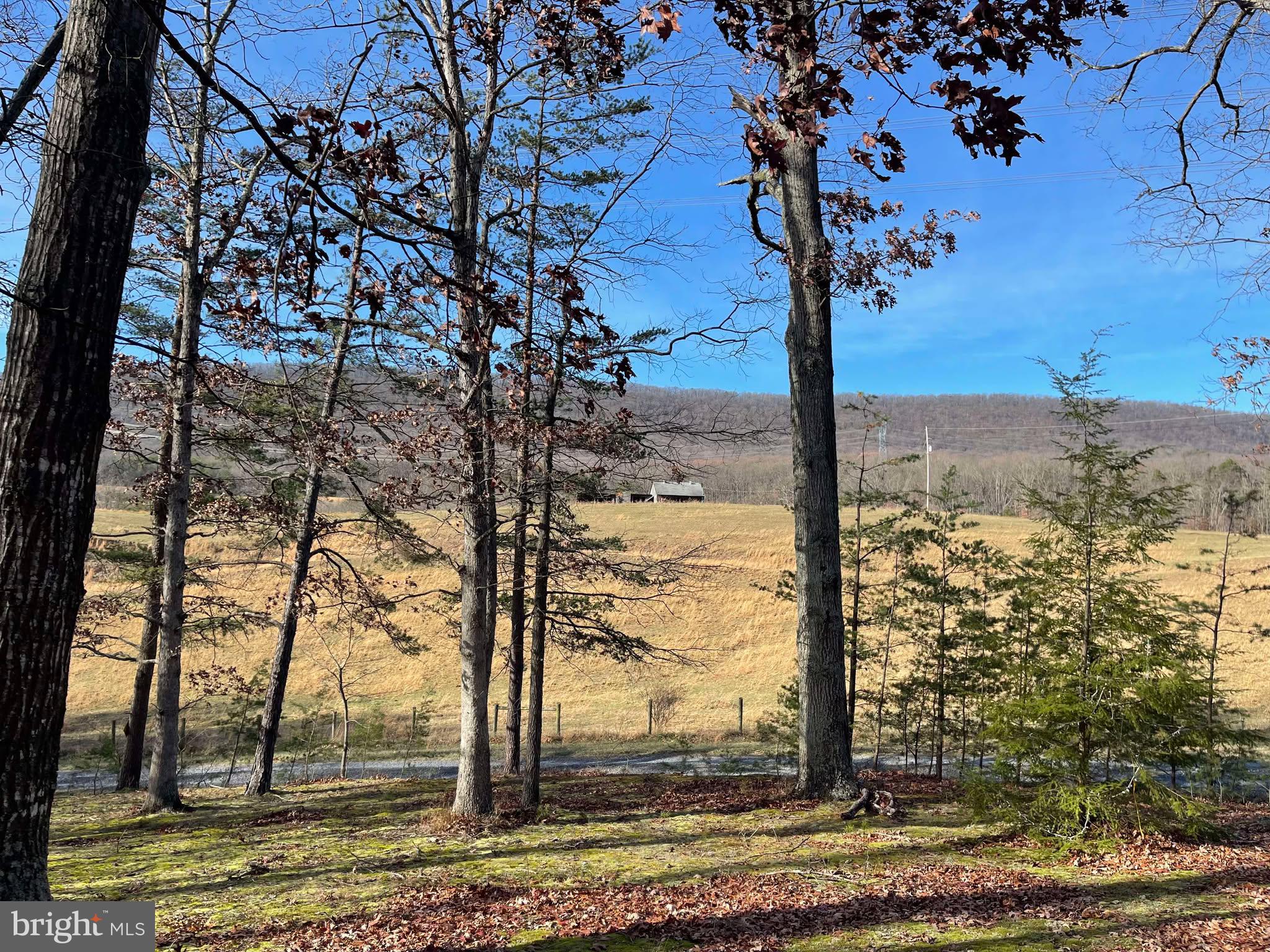 1182 MULLINS ROAD