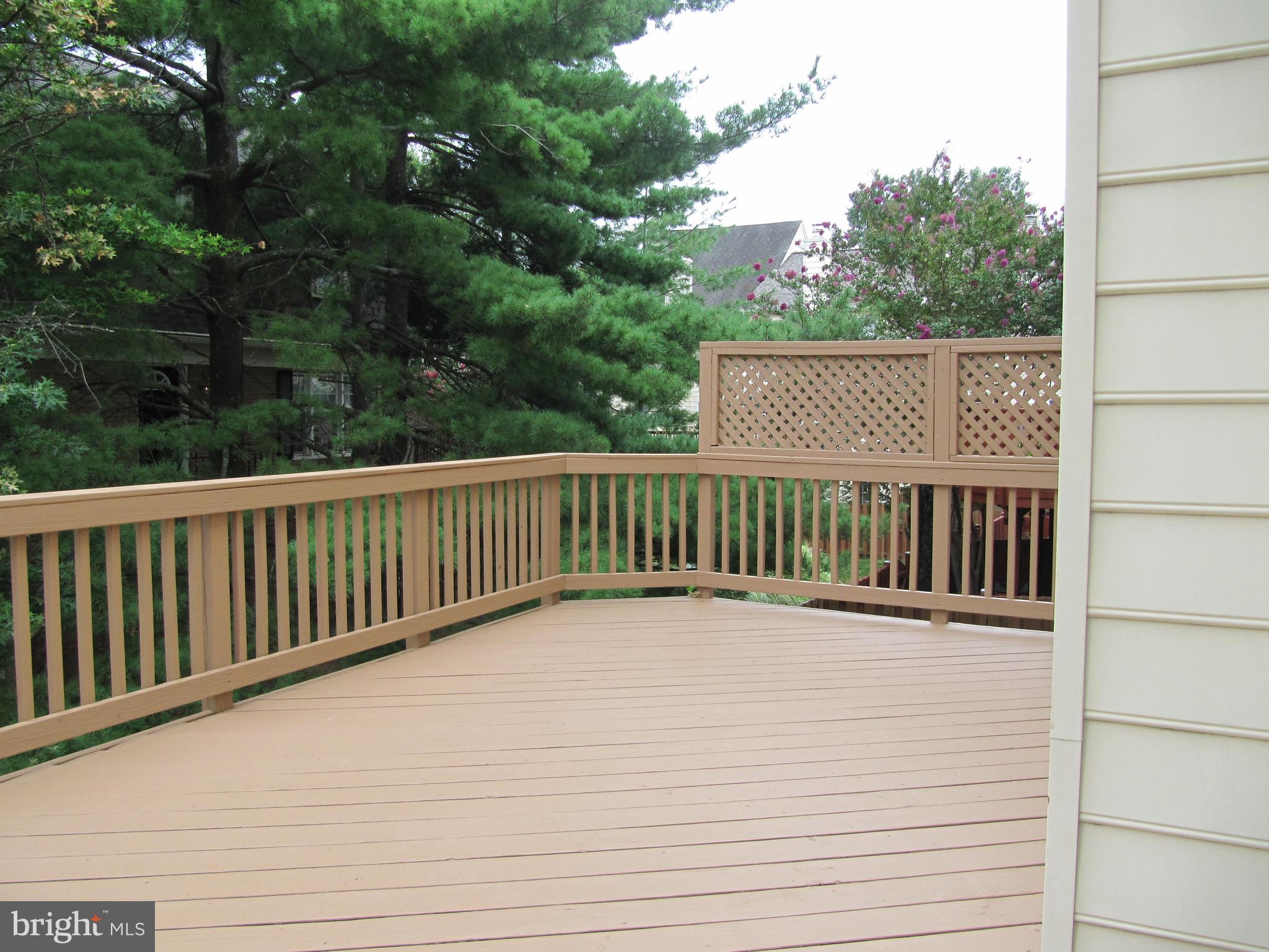 HAHN PROPERTY - Residential Lease