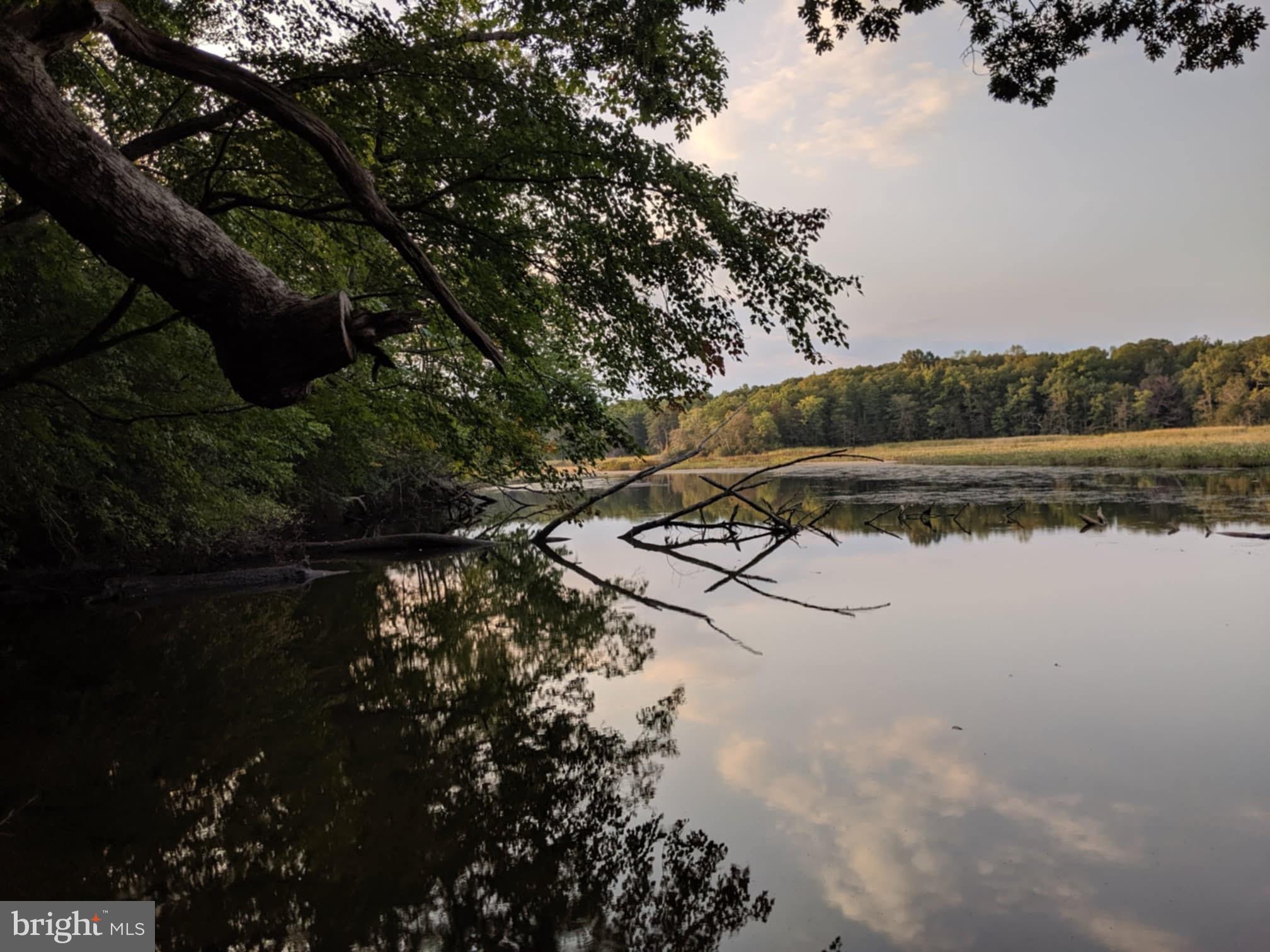 Beautiful 45 acre Wooded lot with an extra 1 acre parcel on the Nanjemoy Creek. Owner's have had property PERKED AND SEWAGE EASEMENT PLAT RECORDED. Propert fronts 2 roads and has electric near by. Plat can be emailed by request...