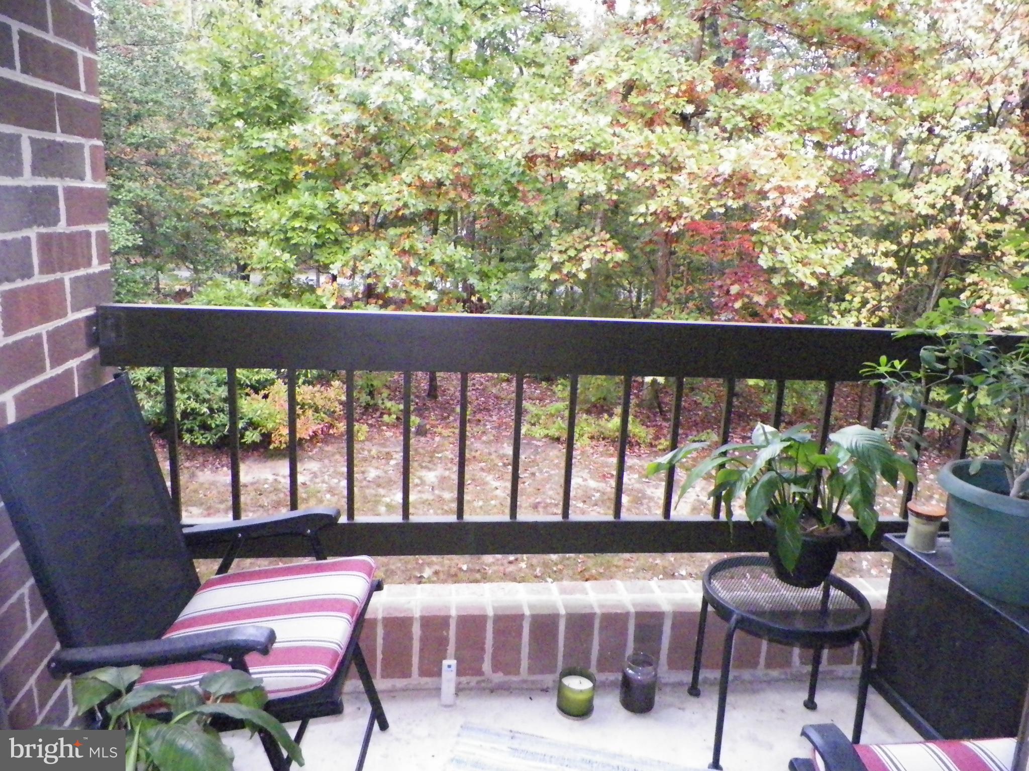 ORCHID PARK OF WILDEWOOD - Residential Lease