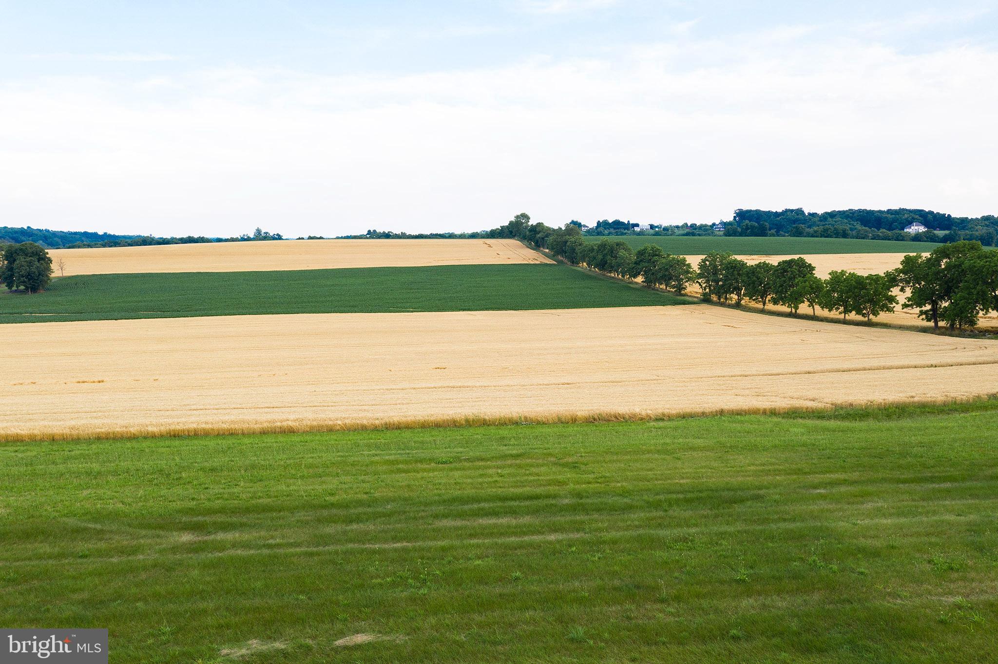 HILLS OF JAMESFIELD MANOR - Residential