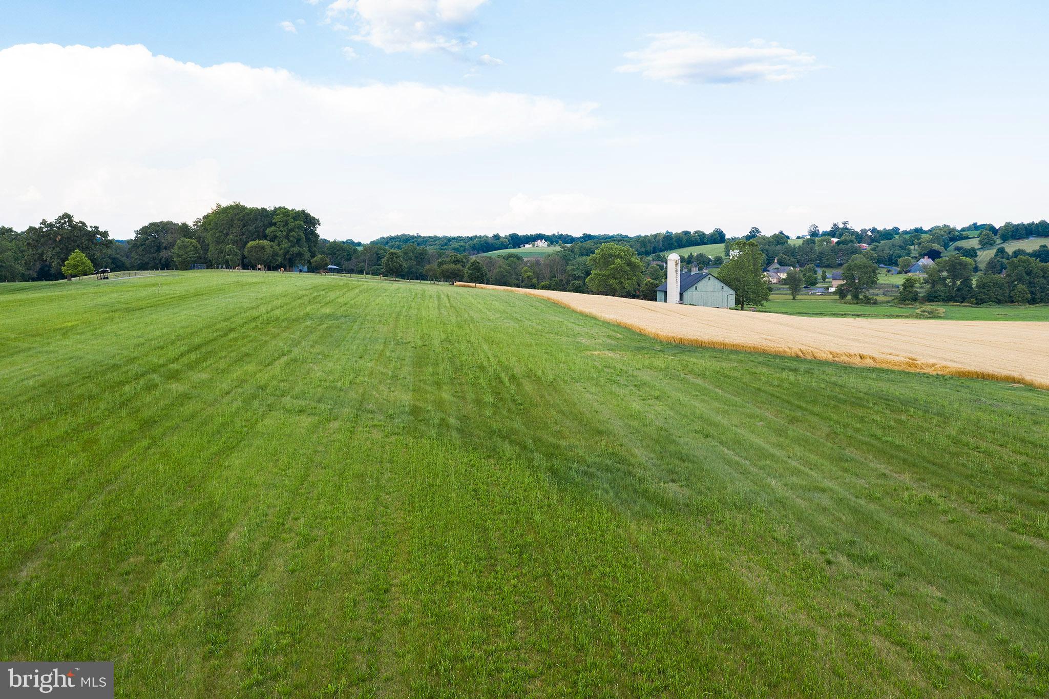 HILLS OF JAMESFIELD MANOR - Residential