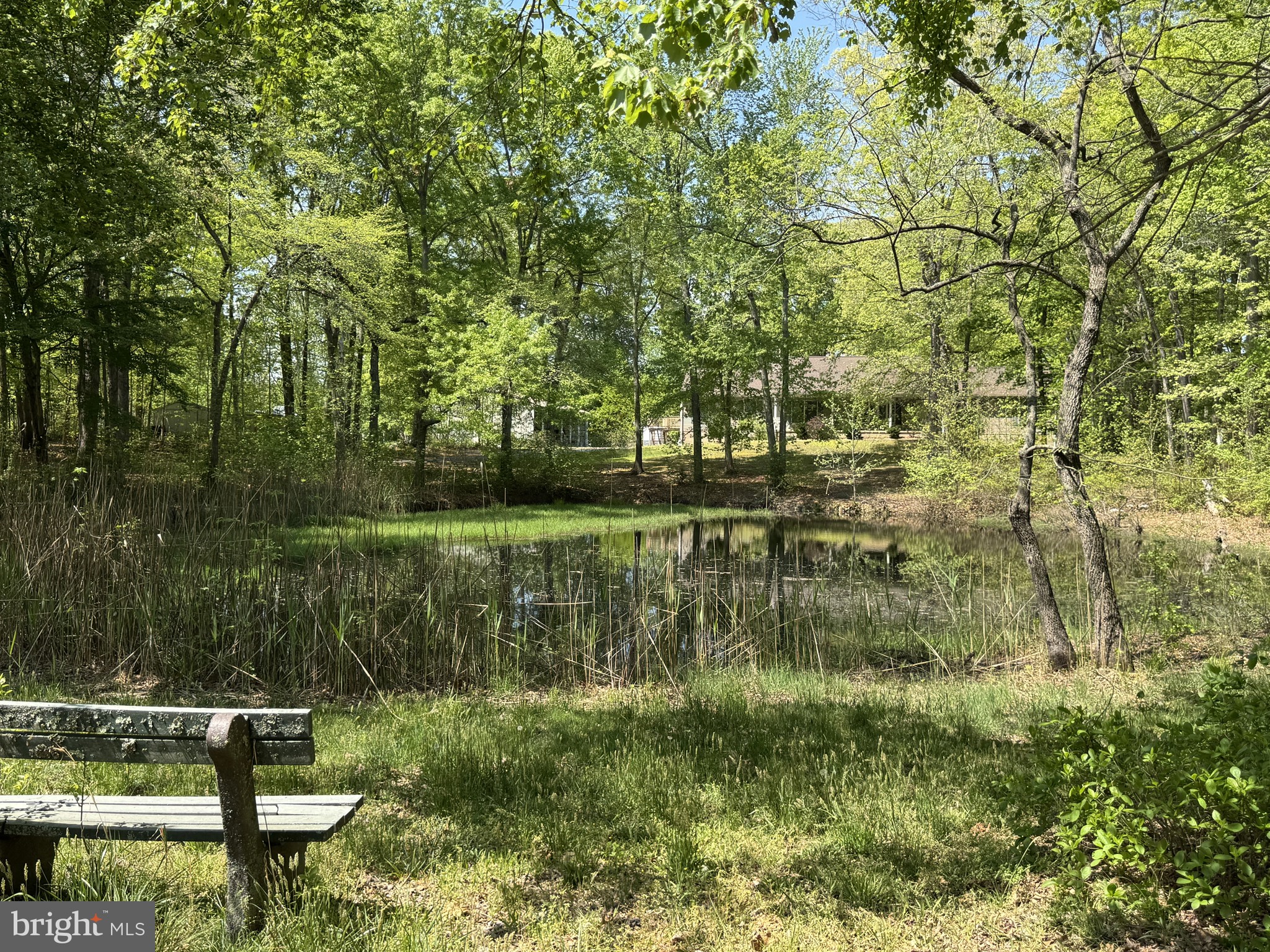 174 PINE TREE ROAD