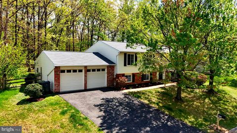 Photo of 207 Silverleaf Drive, STERLING, VA 20164 (MLS # VALO2125138)