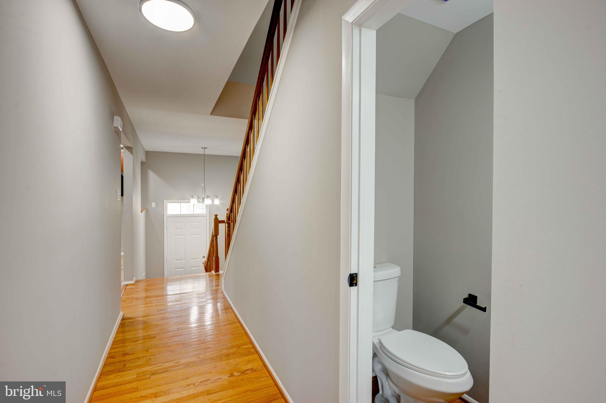 CLARY'S FOREST - Residential