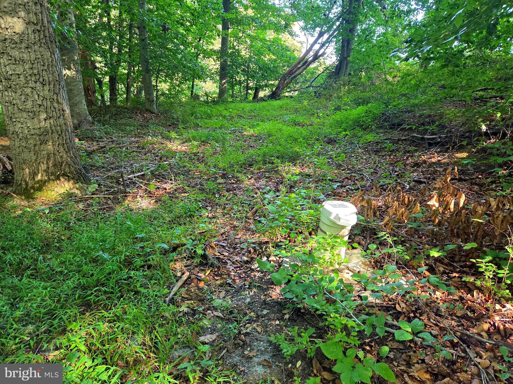 3500 HAWKS HILL ROAD LOT # 1
