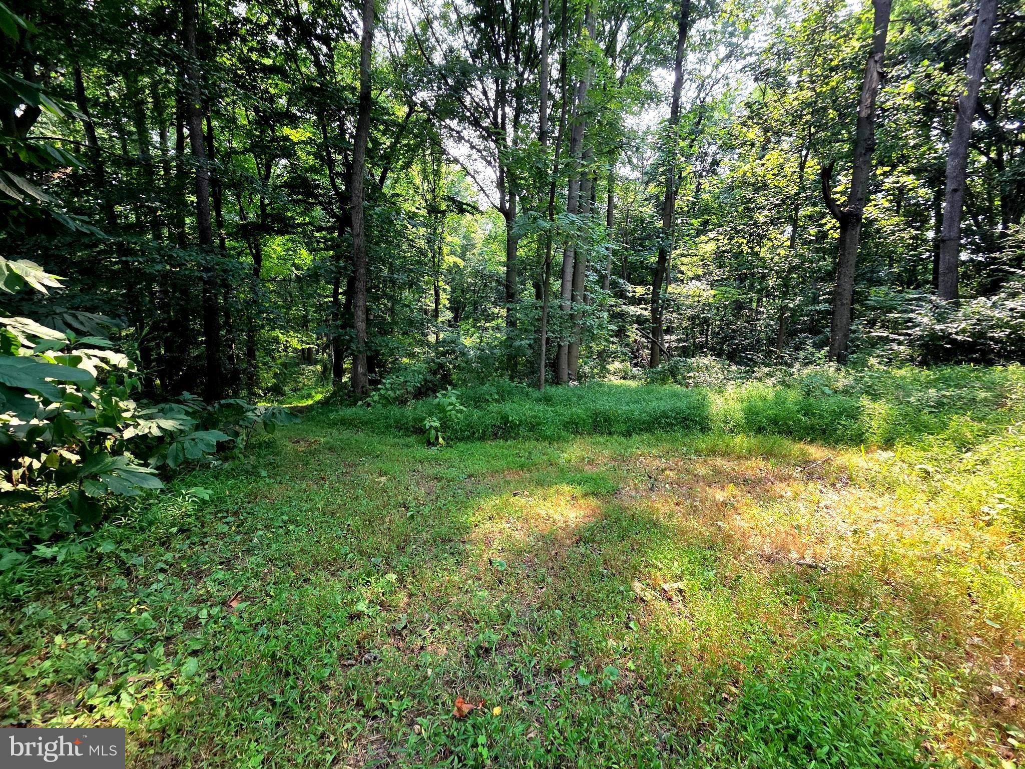 3500 HAWKS HILL ROAD LOT # 1