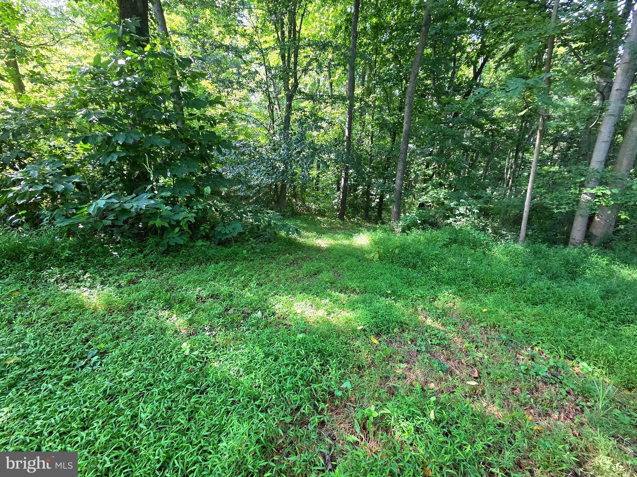 3500 HAWKS HILL ROAD LOT # 1