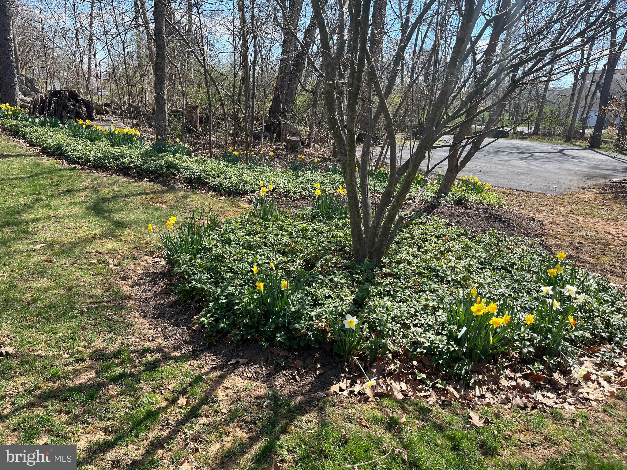 FERNBANK - Residential