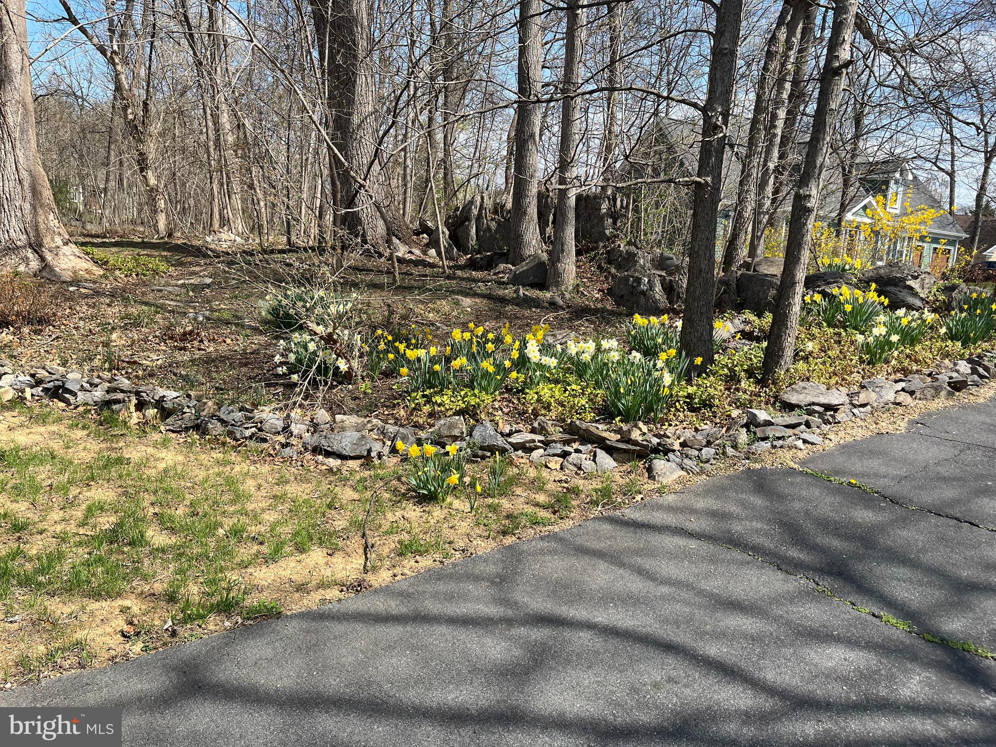 FERNBANK - Residential