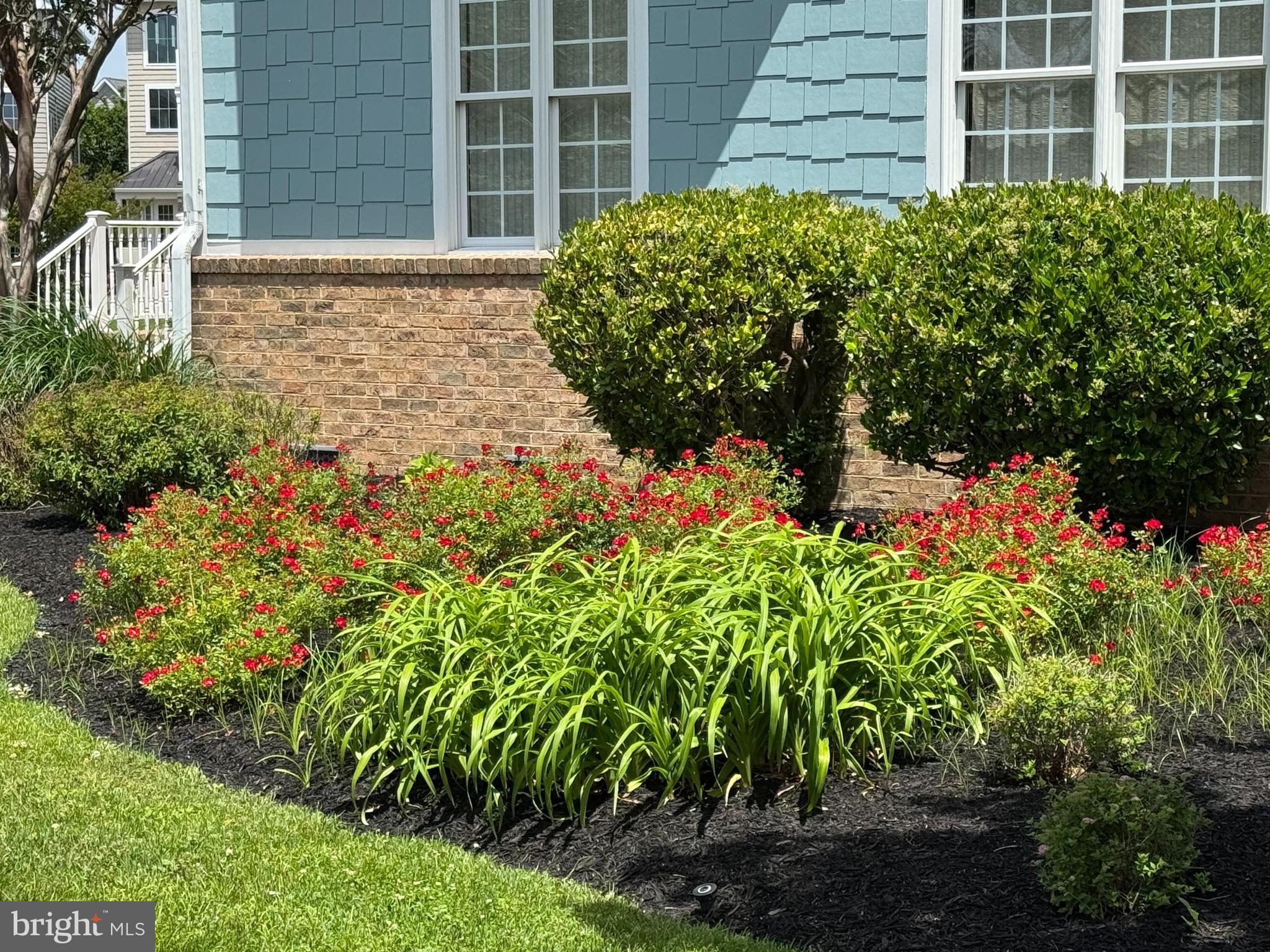 SEAPOINTE - Residential