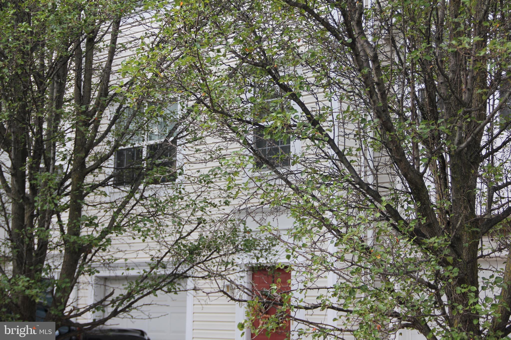 SYCAMORE HILL - Residential Lease