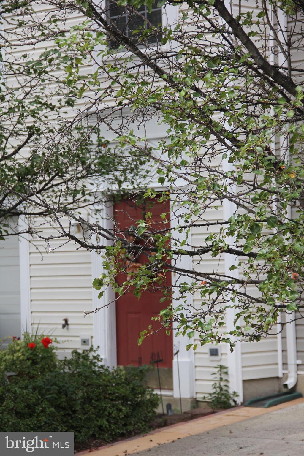 SYCAMORE HILL - Residential Lease