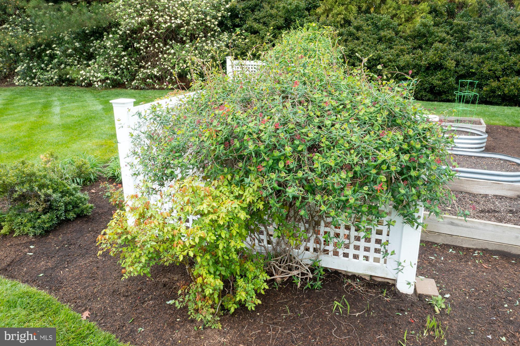 TALBOT COUNTY - Residential