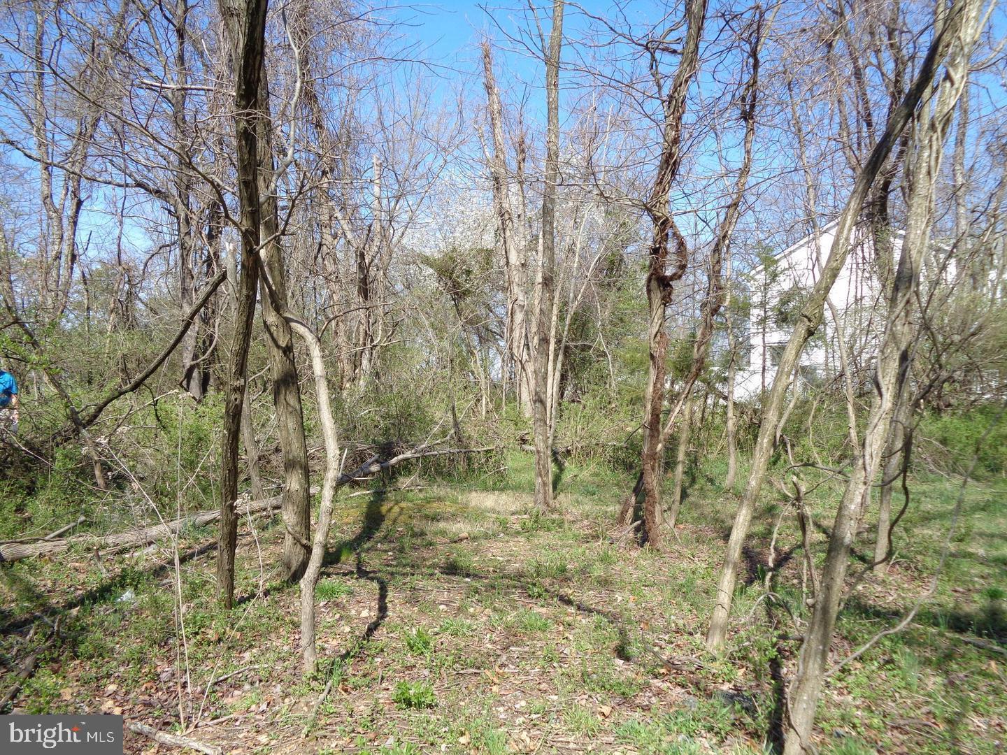 12355 POTOMAC VIEW DRIVE