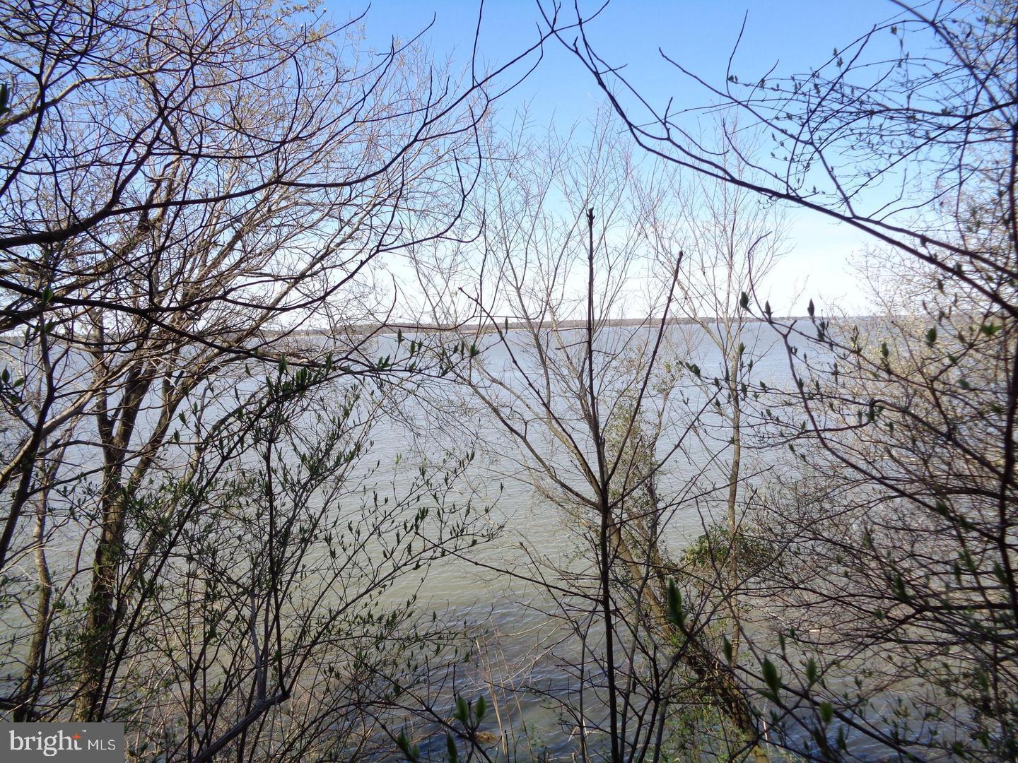 Beautiful lot overlooking the Potomac River! Over a half acre where you can build your dream home!
Lot was perced years ago, but buyers responsibility to verify everything. Possible public water hookups. The sellers were going to build their dream waterfront home, but plans changed and they can no longer move. This is a great opportunity to build on the water, close to the new bridge going to King George, VA. Only about 20 minutes from downtown LaPlata. Do not miss this opportunity! Note, this lot is in Cliffton on the Potomac! There is a similar address down 257, it is not down there.