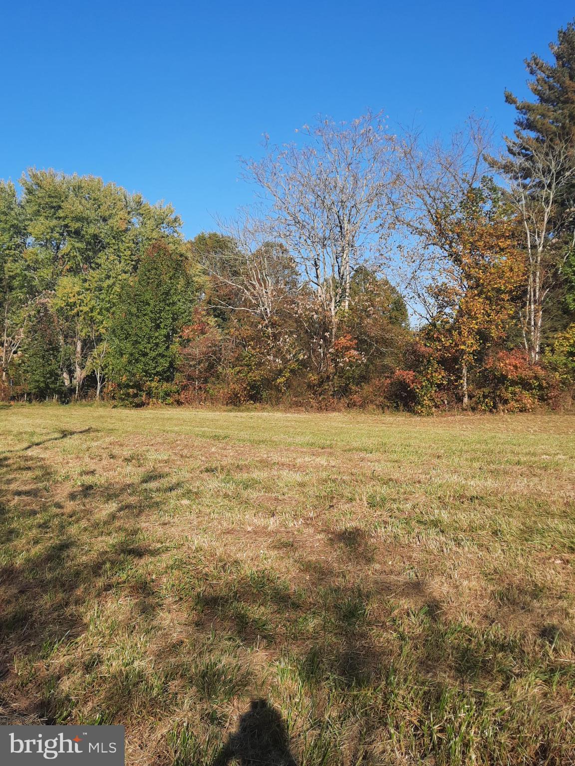2950 CHANEY ROAD