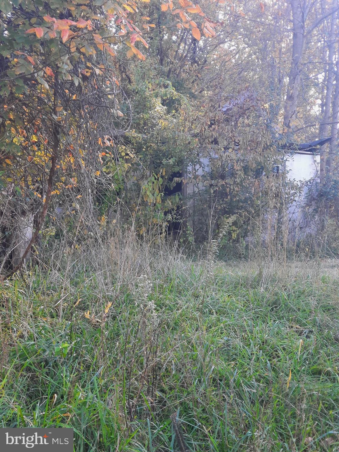 2950 CHANEY ROAD