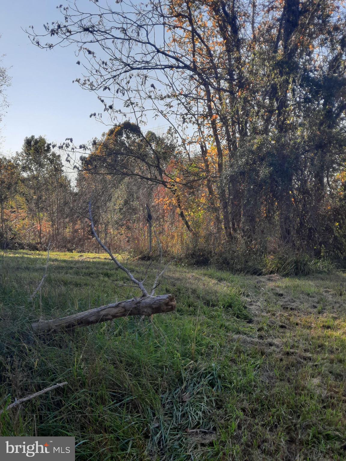 2950 CHANEY ROAD