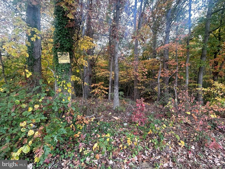 3 lots available for sale as a packaged deal! 
They are located on the corner of Bock Rd and Holy Drive.
 This parcel is second from the triangular corner lot.
 The second lot is right next to it,
 The third lot  is 3 acres is in the back of the two parcels.

For more detailed info. Please go to PGAtlas.com, search Property,  Tax account and use the alternate tax ID number.