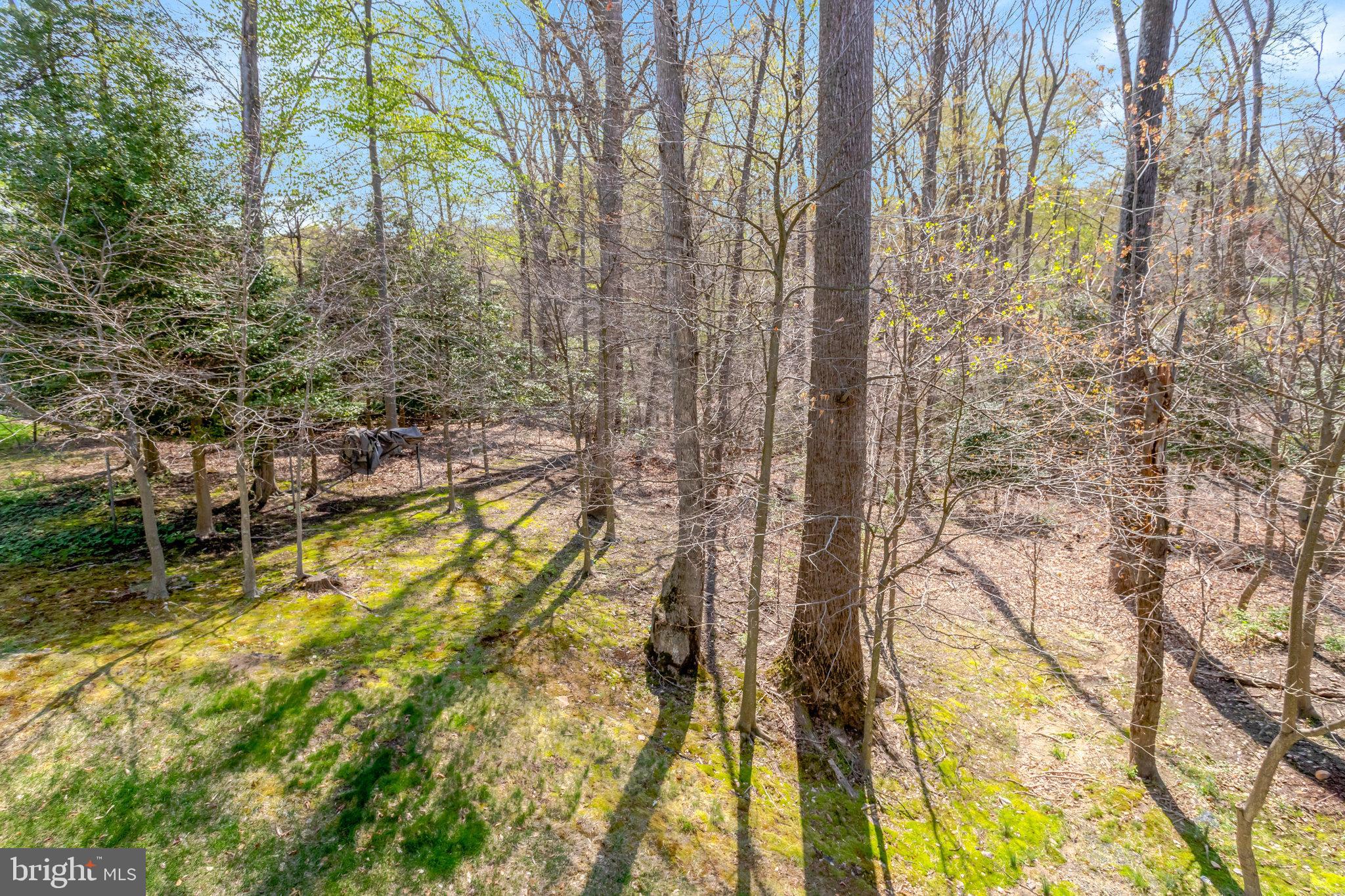 PARK POINTE - Residential