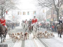 RIDGEVIEW - Residential